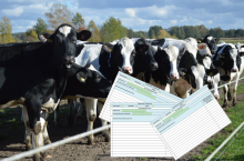 435939