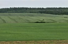 435941