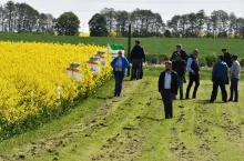 Przy okazji Międzynarodowego Dnia Rzepaku przygotowano pokazową kolekcję odmian