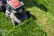 &lt;p&gt;To musisz wiedzieć o koszeniu trawnika! Czy wysoka trawa naprawdę sprzyja kleszczom?&lt;/p&gt;