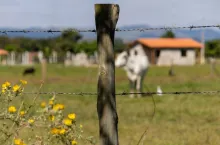Barbed wire fence with rural landscape in the background.