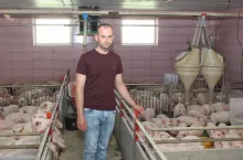 Miesięcznie rolnicy mają do sprzedaży 700–800 warchlaków, a rocznie do 9 tys. prosiąt.