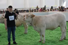 Patryk Szerfenberg od dziecka w rodzinnym gospodarstwie zajmował się hodowlą rasy limousine, jednak jeszcze większy potencjał dostrzega w mniej popularnej w Polsce rasie charolaise.