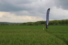 Pasture Hill Farm - gospodarstwo Daniel Kinga, w Wielkiej Brytanii w hrabstwie Lincolnshire, , fot. A. Arabska