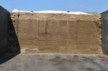 Najbardziej krytyczny punkt w silosie czy pryzmie z kiszonką znajduje się pod powierzchnią pryzmy. Do kiszonki dostaje się bowiem tlen, a „wypływa” dwutlenek węgla