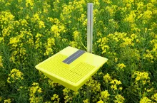 Urządzenie MagicTrap jest zasilane panelem słonecznym. Na podstawie zdjęć wewnętrznej kamery liczy i rozpoznaje szkodniki rzepaku. Rolnik bez wychodzenia z domu dwa razy dziennie otrzymuje świeże informacje w aplikacji na smartfonie