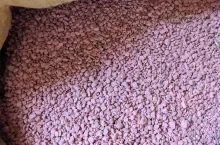 903504