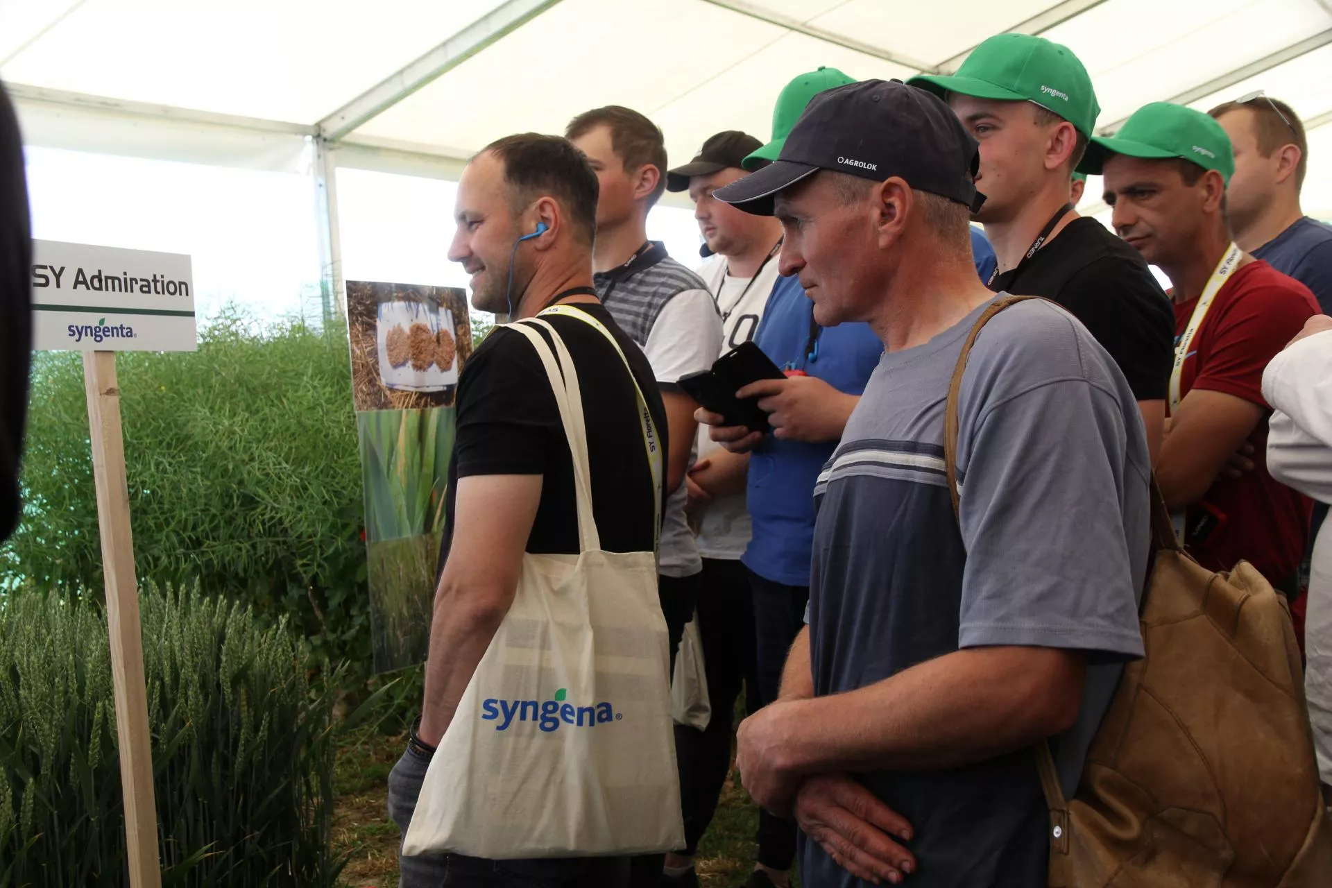 Aplikacja podpowie rolnikowi, jaką odmianę kukurydzy ma posiać na swoim polu