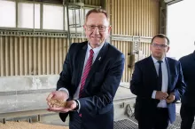 Telus: dzisiaj lub jutro ruszy wypłata dopłat do zbóż
