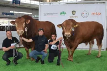 – Od wielu lat dwusezonowość wycieleń utrzymują hodowcy bydła mięsnego we Francji i się im to opłaca – stwierdził Zbigniew Kołoszyc