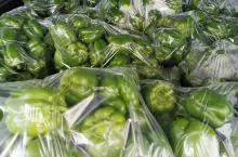 Polska zielona papryka na rynku hurtowym Bronisze