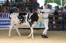 W grupie młodszej w oprowadzaniu na ringu zwyciężyła Anna Aleksiejczuk-Szotko