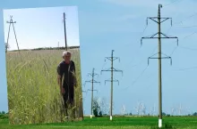 Pole obsiane słupami Rolnik na 3 ha ma aż 11 słupów       