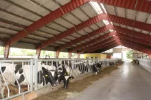 Hodowcy są bardzo zadowoleni z pracy w nowym obiekcie