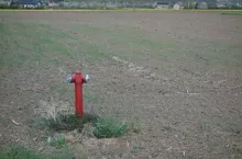 895943