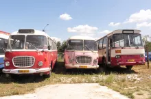 Takich autobusów w muzeum w Paterku jest więcej. Szczególne zainteresowanie budzi różowy „ogórek” patrzący na zwiedzających spod długich rzęs