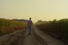 Remont dróg dojazdowych do pól