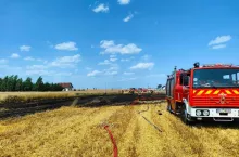 Potężny pożar zboża pod Łowiczem. Ogień na polach aż 5 rolników!