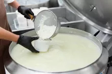 Filling molds for the production of soft cheese at a private cheese factory