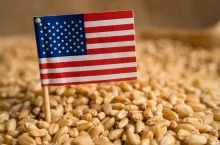 Rolnicy z Podlasia apelują do USA o pomoc finansową dla polskiego rolnictwa. I podają konkretną kwotę