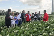 Grupa polskich producentów ziemniaka na poletkach doświadczalnych DuPont w Lelystad