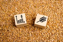 Symbol and wheat grain. Export ban, embargo on wheat and flour supplies to Europe, Asia and Africa, famine and crisis top view