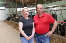 Państwo Narlochowie nabrali przysłowiowego wiatru w żagle i rozpoczęli przygotowania do budowy nowej obory. Niestety, w realizacji tego planu na drodze stanął kryzys na rynku mleka.