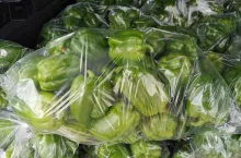 Zielona papryka na rynku hurtowym w Broniszach