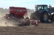 Siew rzepaku: termin czy warunki pogodowe - co jest ważniejsze?