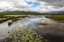 Peat bog in County Mayo in the Republic of Ireland.