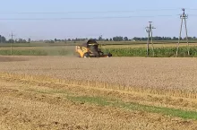 784252