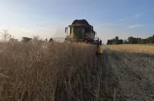 906546