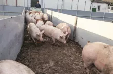 502776