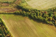 Aerial View Autumn Empty Field With Windbreaks Landscape. Top View Of Clean Field. Drone View Bird‘s Eye View. A Windbreak Or Shelterbelt Is A Planting Usually To Protect Soil From Erosion.