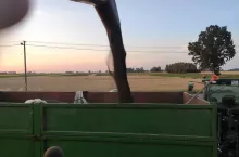 906621