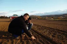 siew rzepaku pszenicy ozimej obsada sierszenska