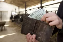 700 mln zł więcej na kredyty płynnościowe dla rolników. Jakie limity i jakie oprocentowanie?