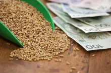 ARiMR rozpoczęła nabór wniosków na wyższe dopłaty do materiału siewnego.