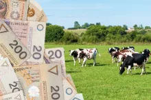 Kolejne zmiany w ekoschematach. Co się zmieni i dla kogo?