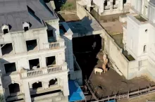 Krowy zamieszkały w osiedlu luksusowych willi