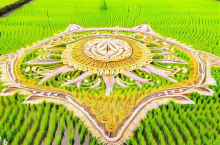 502465