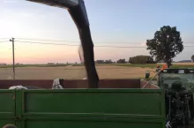 906729