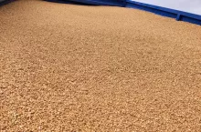783678