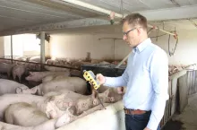 Pomiary stężeń poszczególnych gazów w chlewni były wykonane za pomocą detektorów z czujnikami