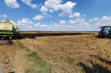 Do pożaru na polu w Babinie doszło w piątek