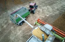 Aerial view of combine harvester unloading grain in cargo trailer working during harvesting season on large ripe wheat field. Agriculture and transportation of raw farm products concept.