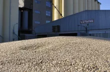 Cena pszenicy w skupie rośnie. A Rosja idzie na rekord z eksportem