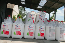 Mocznik już po 3300 zł. Jakie są ceny nawozów pod koniec sierpnia?