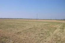 906896