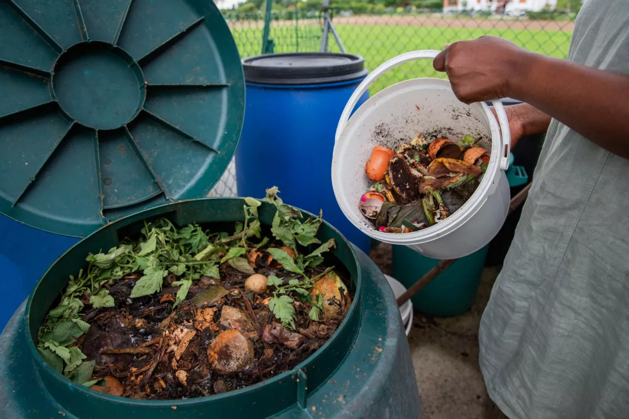 &lt;p&gt;Składniki na idealny kompost. Zrób coś z niczego w duchu zero waste!&lt;/p&gt;
